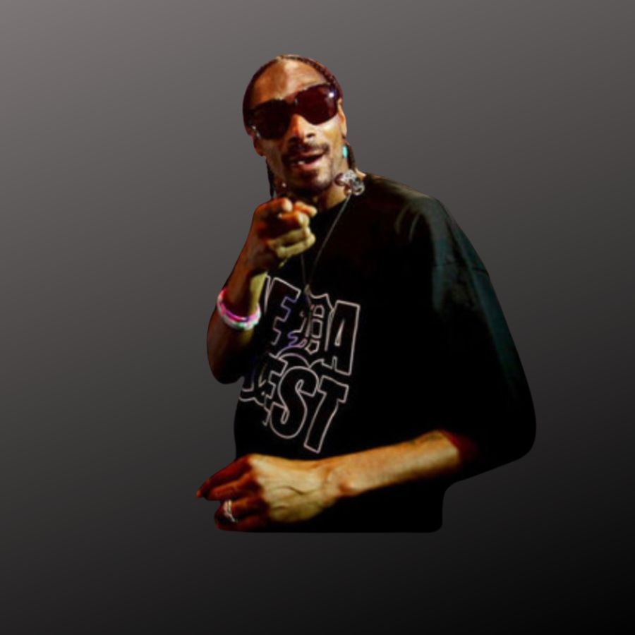 DJ Snoop Dogg